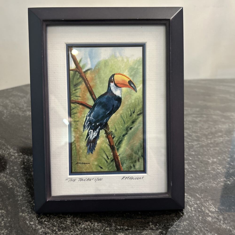 “The Toucan” Signed R. Mantel Framed Watercolor Print Tropical Realistic 1/100